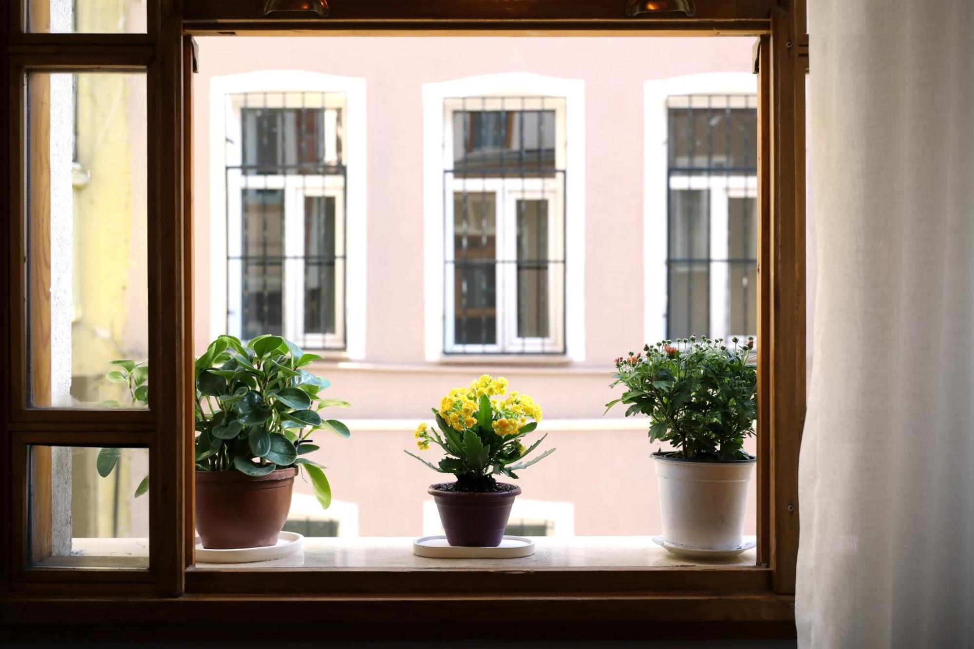 Narpera Taksim Boutique Hotel Istanbul Eksteriør billede